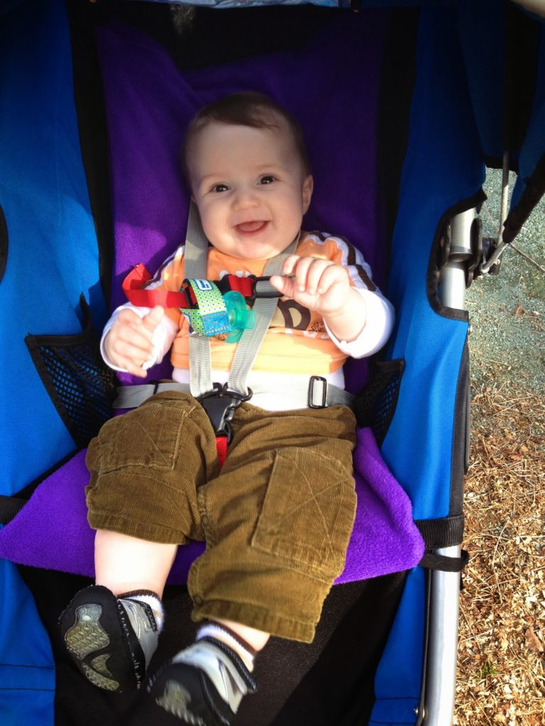 purple bob stroller