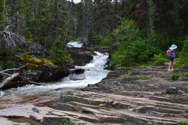 Glacier NP: St Mary and Virginia Falls - Our Adventuring Family