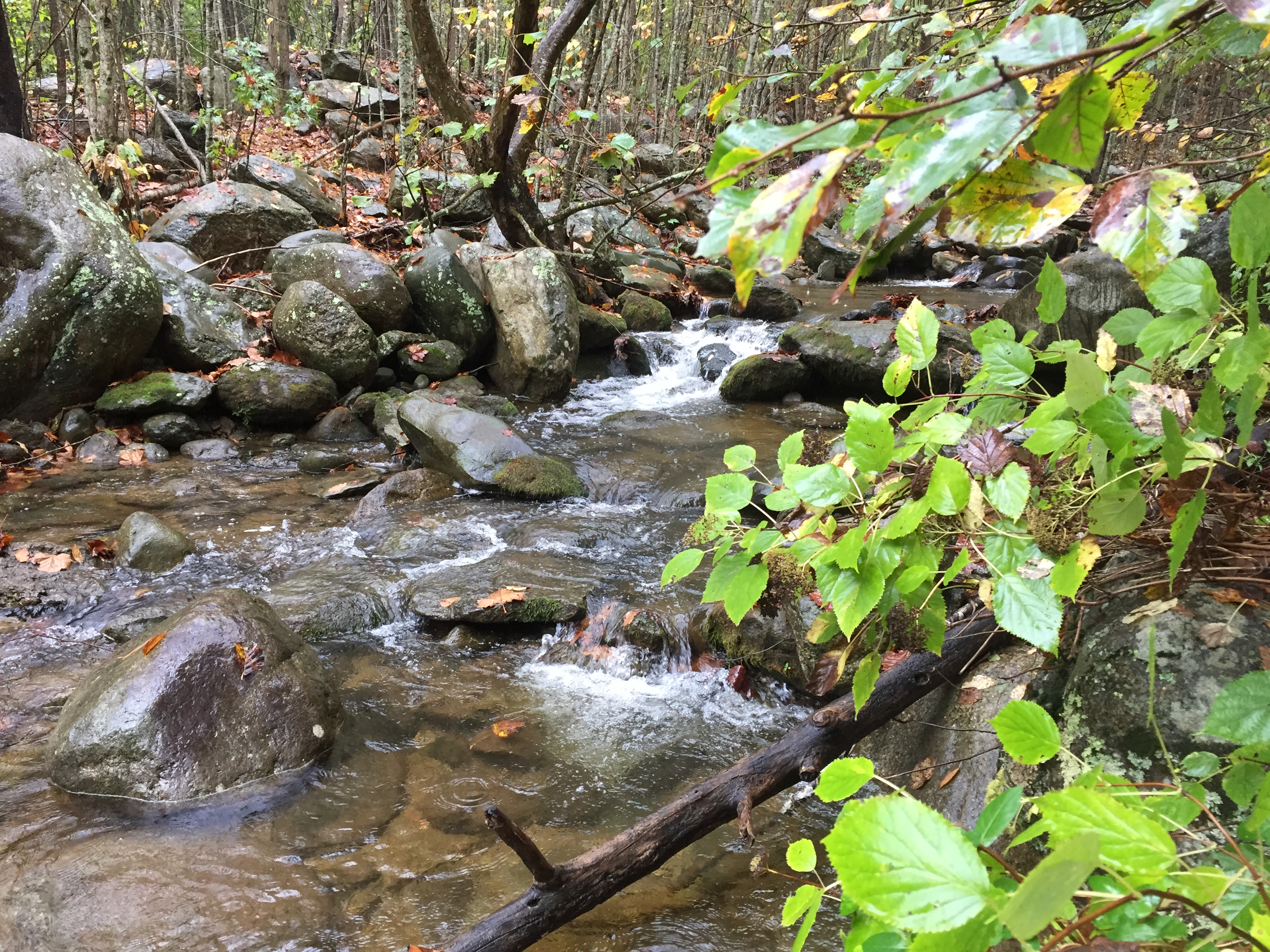 Hiking in the rain doesn't have to be miserable. If you're prepared, it can be fun for the whole family. Go to ouradventuringfamily.com to read the four things that helped us.