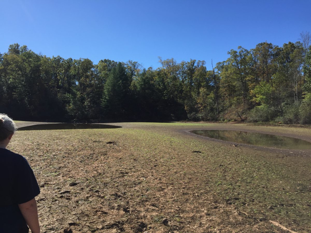 As we visit the same parks throughout the year, we've realized how obvious some seasonal changes in parks can be, especially when water is involved. We had some neat experiences that I talked about at ouradventuringfamily.com.