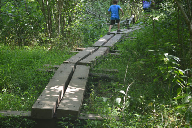 As we visit the same parks throughout the year, we've realized how obvious some seasonal changes in parks can be, especially when water is involved. We had some neat experiences that I talked about at ouradventuringfamily.com.